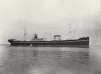 M/S TEMPLAR. Foto från Köpenhamn den 10.4.1956.
