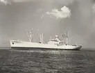 M/S EIDANGER. Foto från Köpenhamn den 4.6.1958.