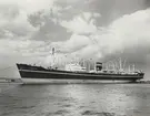 M/S TUGELA. Foto från Köpenhamn 1957.