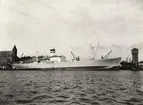 M/S HÖEGH TRADER. Foto från Köpenhamn 1958.