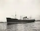 M/S OGEKA BAKKE. Foto från Köpenhamn 1959.