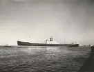 M/S OLAV BAKKE. Foto från Köpenhamn 1958.