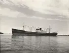 M/S OGEKA BAKKE. Foto från Köpenhamn 1959.