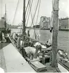 Malmö hamn 1946.