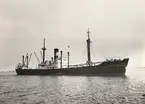 Lastångfartyget 