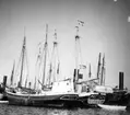 Göteborgs hamn, juni 1940. Skonaren Anna Britt (skall enligt Sveriges skeppslista vara galeas) (ex Varbak) skall enl samma skeppslista vara Varbak 2 av Havenäs (Näs) ska vara Hovenäset, 3-mast slätskonaren Ellen (Ex Roamer) ska vara Roamer II av Stora Kornö, liggande utanför Fiskehamnspiren.  Fil lic Gunnar Jonssons undersökningsresa till Västkusten juni 1940.