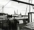 Från Simrishamns hamn, 1953.