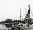 Från Simrishamns hamn, 1953.