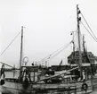 Från Simrishamns hamn, 1953.