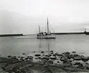 Från Simrishamns hamn, 1953.