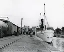 Från Simrishamns hamn, 1953.