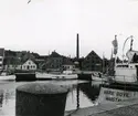 Från Simrishamns hamn, 1953.