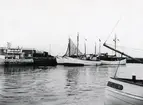 Från Simrishamns hamn, 1953.