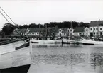 Från Simrishamns hamn, 1953.