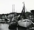 Från Simrishamns hamn, 1953.