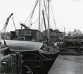 Från Simrishamns hamn, 1953.