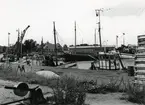 Från Simrishamns hamn, 1953.