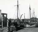 Från Simrishamns hamn, 1953.