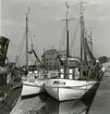 Från Simrishamns hamn, 1953.