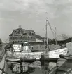 Från Simrishamns hamn, 1953.