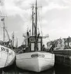 Från Simrishamns hamn, 1953.