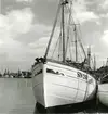 Från Simrishamns hamn, 1953.