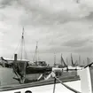 Från Simrishamns hamn, 1953.