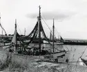 Från Simrishamns hamn, 1953.