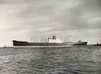 M/S OGEKA BAKKE. Foto från Köpenhamn 1959.