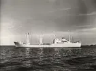 Lastmotorfartyget HÖEGH AURORE. Foto från Köpenhamn juni månad 1959.