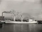 Lastmotorfartyget HÖEGH AURORE. Foto från Köpenhamn april månad 1961.