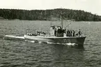 Minsveparen M 9, år 1951.