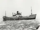 Lastångfartyget 