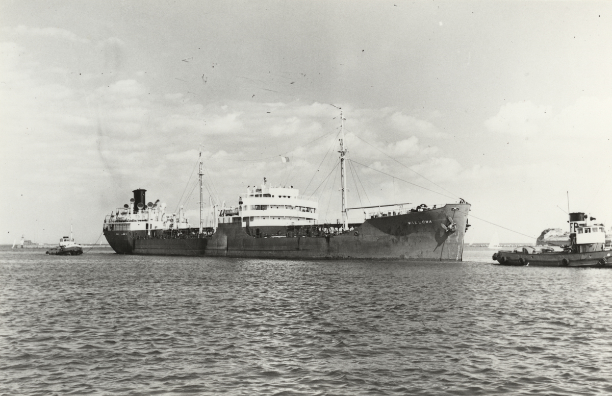 Tankturbinångfartyget "WALLOWA". Foto från Köpenhamn den 27.6.1953.