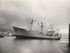 Lastmotorfartyget HÖEGH AURORE. Foto från Köpenhamn någon gång under åren 1959 - 1962.