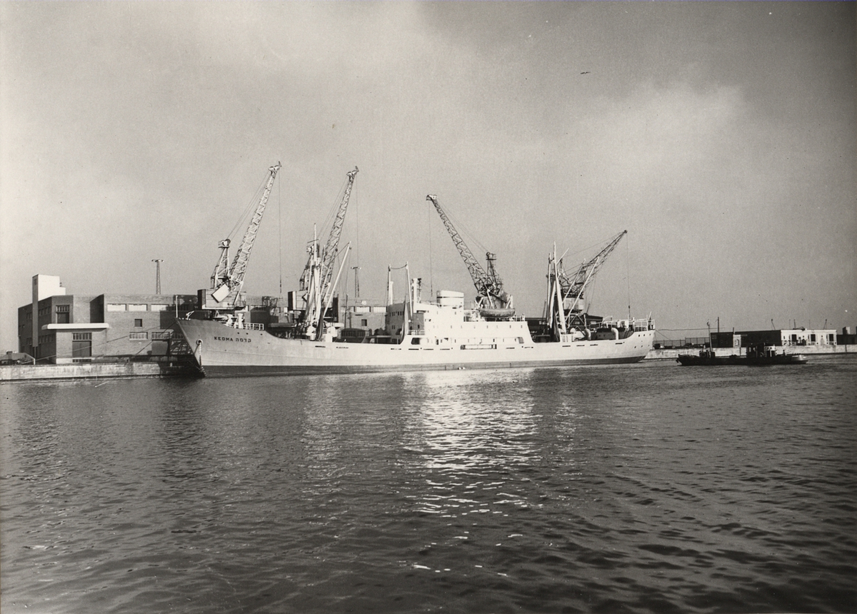 Lastmotorfartyget "KEDMA". Foto från Köpenhamn någon gång under åren 1956-1961.