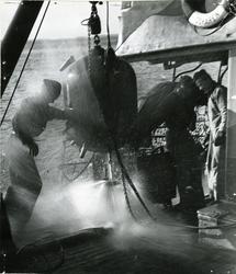 Mina spolas efter hemtagning på minsveparen SÖKAREN.