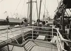 M/S SUECIA under lastning i Göteborgs hamn 5/6 1952.