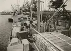 M/S SUECIA under lastning i Göteborgs hamn 5/6 1952.