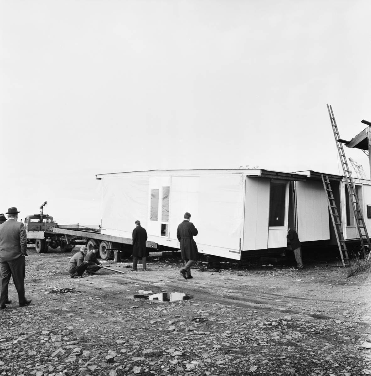 V33562