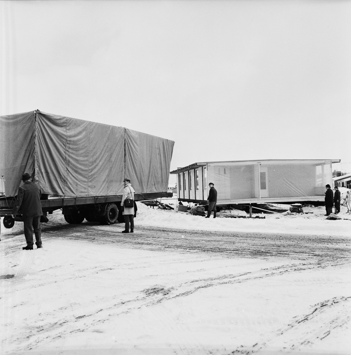 V33985