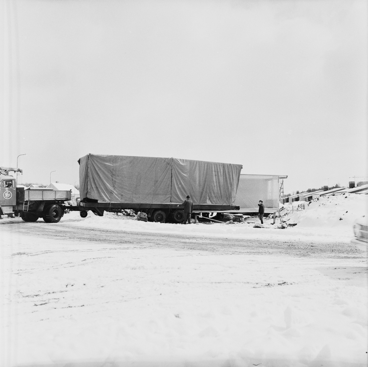 V33986