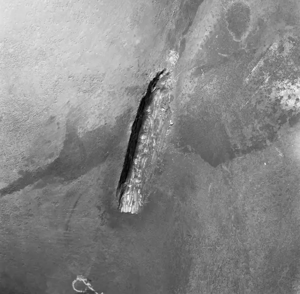 Thule stereobild på propeller