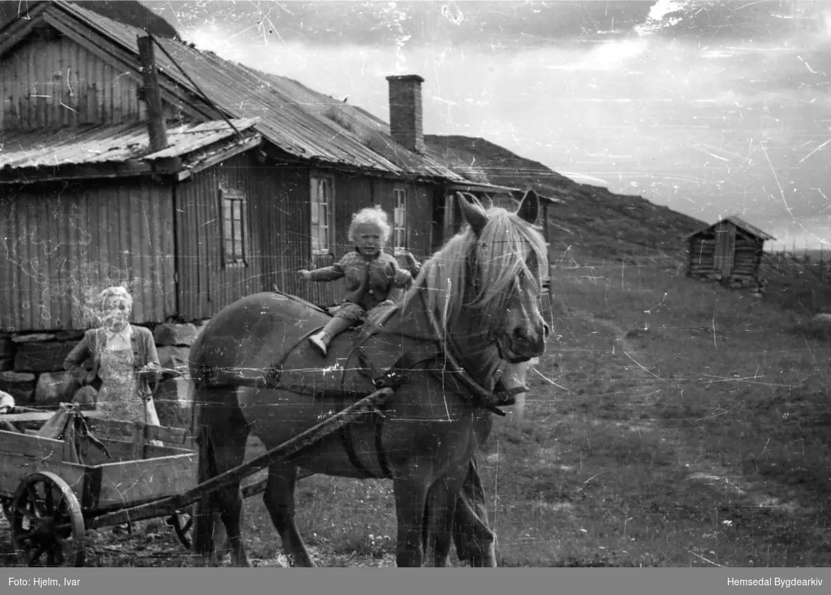 Prestegardshusstølen på Løkenstølane, 59/3 i Hemsedal