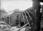 Bodar och svinhus, Kvekgården, Fröslunda socken, Uppland 1931