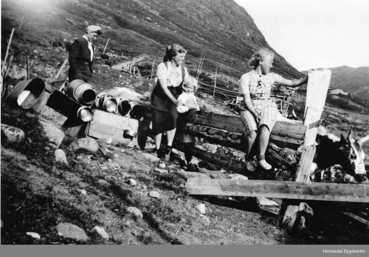 Hustadstølen 79/2 i Mørkedalen i Hemsedal i 1939.
Frå venstre: fru Kaldberg, fru Voldhaug med Birgit Hustad og Grethe Voldhaug.