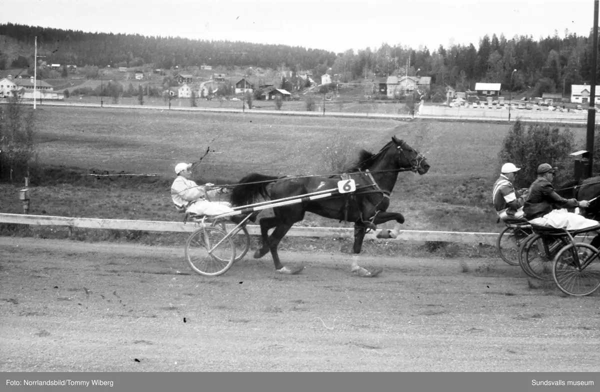 Bilder från en tävlingsdag på Bergsåkers travbana i maj 1960.
