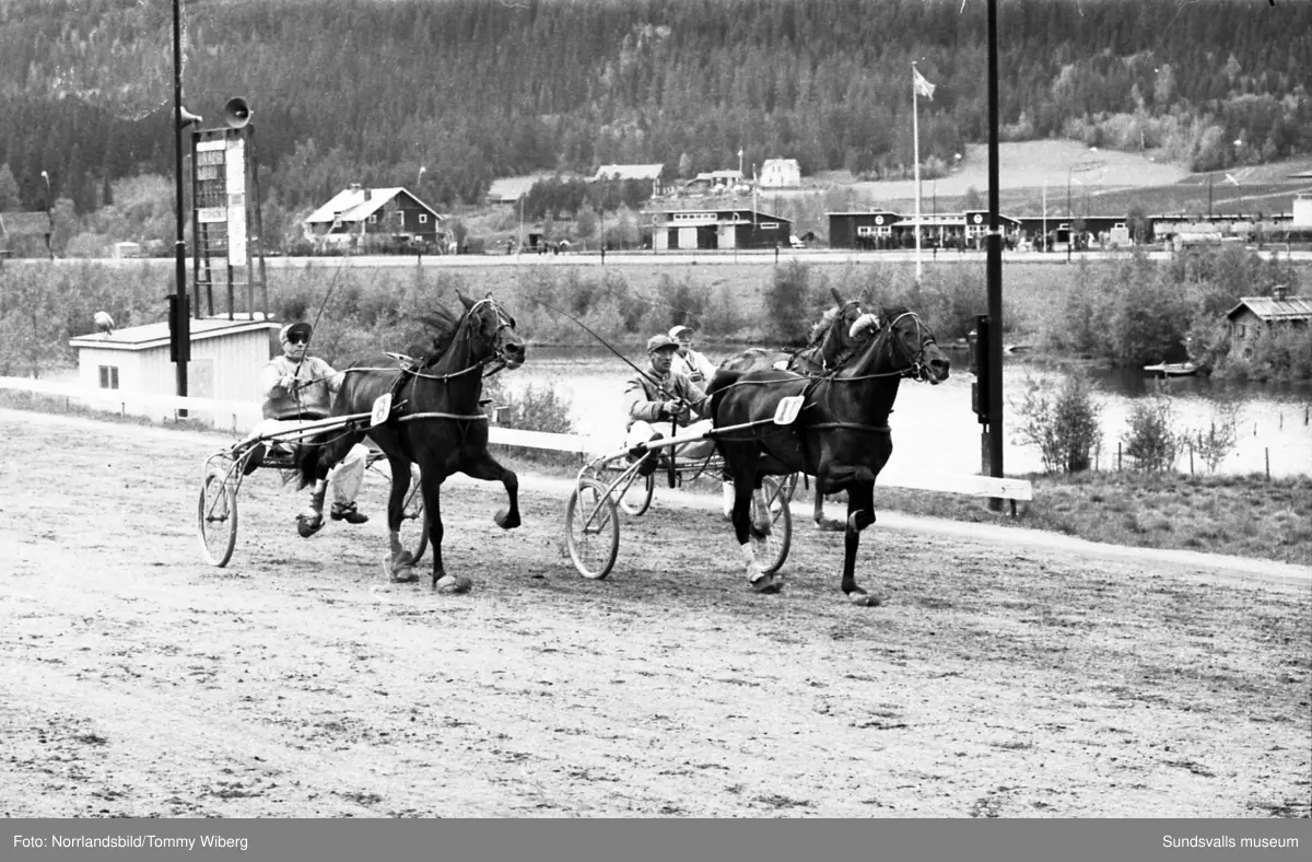 Bilder från en tävlingsdag på Bergsåkers travbana i maj 1960.