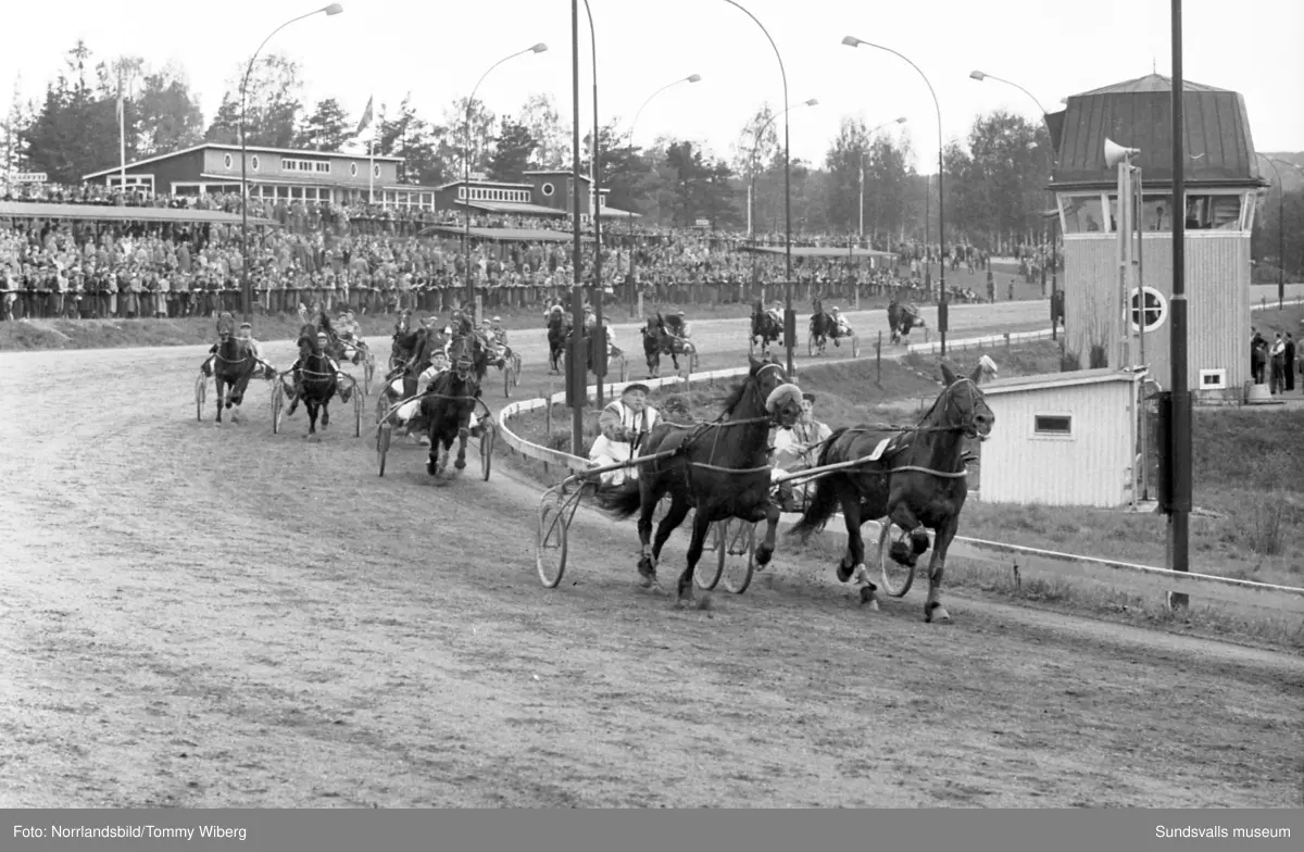 Bilder från en tävlingsdag på Bergsåkers travbana i maj 1960.