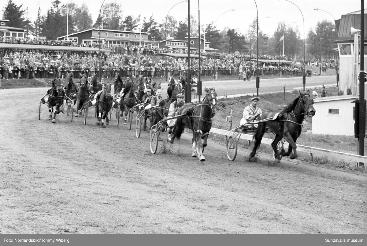 Bilder från en tävlingsdag på Bergsåkers travbana i maj 1960.